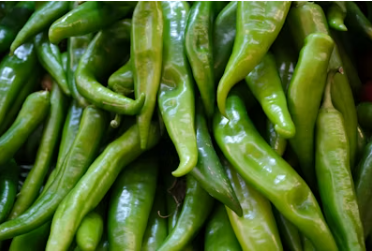 What Makes Hatch Green Chile Different From Other Green Chiles? The Real Reason Hatch Chile Stands Above the Rest